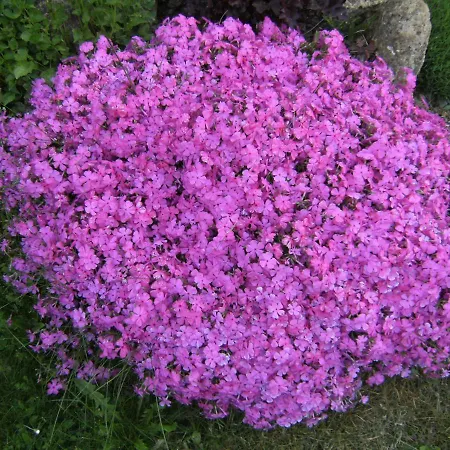 Les Terrasses 3* Saint-Paul-en-Pareds