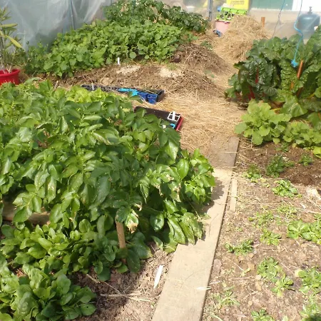 Les Terrasses Bed & Breakfast