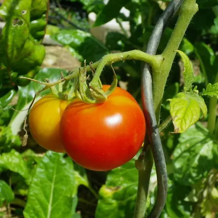 Les Terrasses B&B 3*